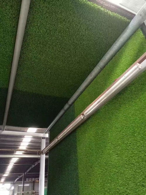 假綠草皮什么價格