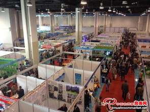 3000多項食用菌產(chǎn)品技術(shù)亮相青島會展